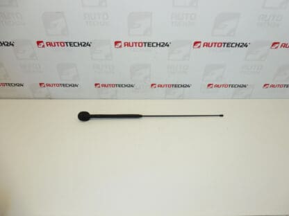 Antenne komplett Citroën C3 Pluriel 6561R7 656197