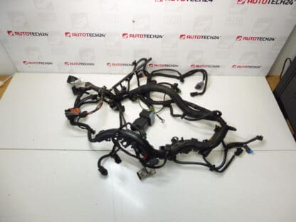 Motorkabelbaum Peugeot 307 2.0 HDI 9663581780 9663581680 6569FH