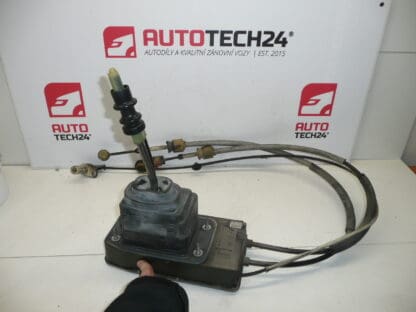 Peugeot 407 Schalthebel 9658259880 2400CH