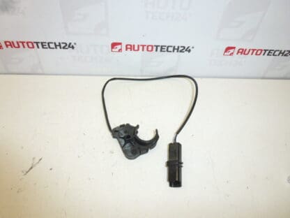 Türgriffsensor Peugeot 307 CC 9651269480 910946